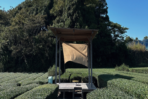 manufacture picture1