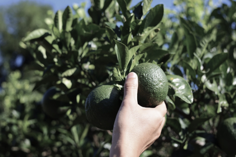 manufacture picture3